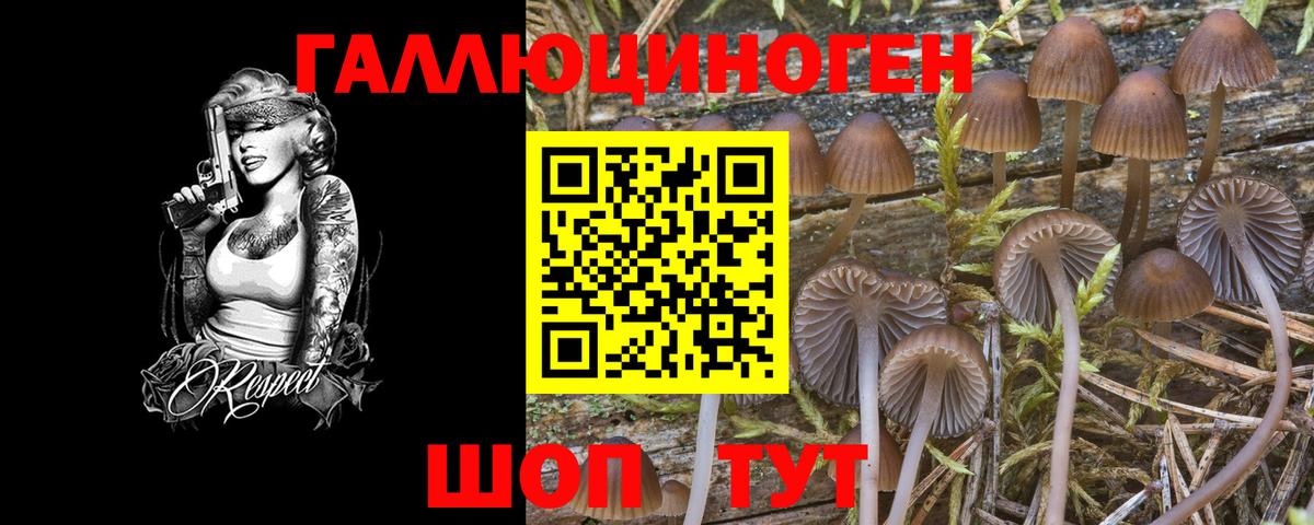 Псилоцибиновые грибы мухоморы  Вход с VPN  Чехов  Галлюциногенные грибы ЛСД 